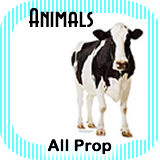 Animals