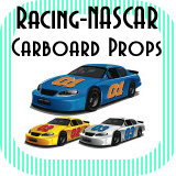 Racing / NASCAR