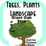 Trees Plants and Landscape