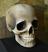 Big Skull Head Mask Sculpture, prop for Halloween