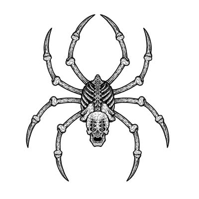 Jointed Spider Bones Jointed Spider Bones