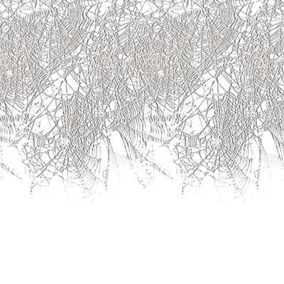 Spider Web Border 24" x 30' Spider Web Border 24" x 30'