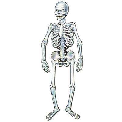 "Art-Print" Jointed Skeleton 3' 8" "Art-Print" Jointed Skeleton 3' 8"