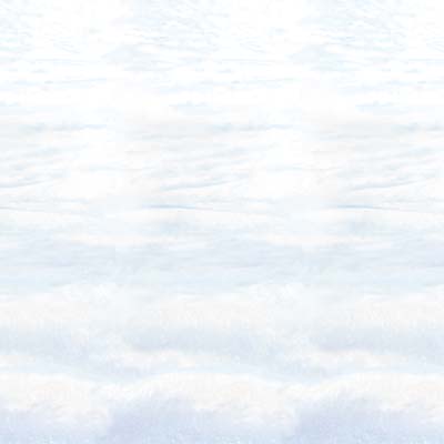 Snowscape Backdrop 4' x 30' Snowscape Backdrop 4' x 30'