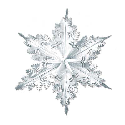 Metallic Winter Snowflake 24" Silver