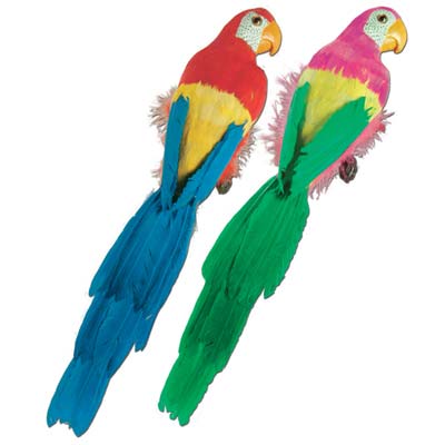 Feathered Parrots 20"
