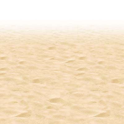 Ocean Floor Border 24" x 30' Ocean Floor Border 24" x 30'
