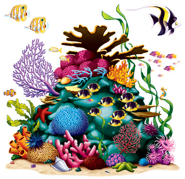 Coral Reef Prop 5' 3" x 5' 3" Coral Reef Prop 5' 3" x 5' 3"
