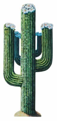 Jointed Cactus 4' 3" cardboard cutout prop Jointed Cactus 4' 3" cardboard cutout prop