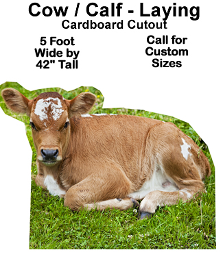 Calf Laying Cardboard Cutout Standup Prop