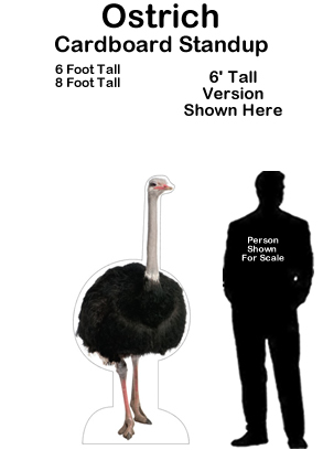 Ostrich Cardboard Cutout Standup Prop