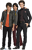 Jonas Brothers Group Shot 2 Cardboard Display