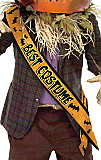 Best Costume Satin Sash