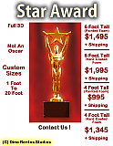 Star Award - Custom Sizes -Full-3D-Not-an-Oscar
