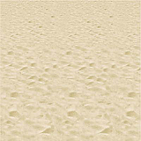 Beach Backdrop 4' x 30'