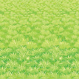 Meadow Backdrop 4' x 30'