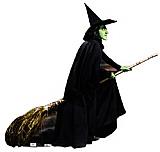 Wicked Witch - Wizard of Oz
