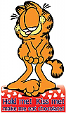 Garfield Hold Me