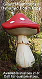 Giant Mushroom 3