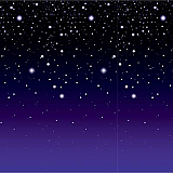 Starry Night Backdrop 4' x 30'