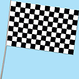 Checkered Flag - Plastic 11" x 17"