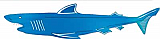Foil Shark Silhouette 32" Cardboard Cutout Prop