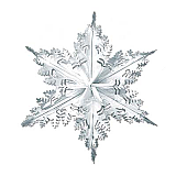 Metallic Winter Snowflake 24" Silver