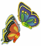 Jungle Butterflies