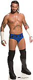 CM Punk - WWE Cardboard Cutout Standup Prop