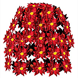 Poinsettia Cascade 24"