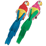 Feathered Parrots 20"