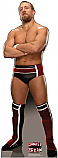 Daniel Bryan - WWE Cardboard Cutout Standup Prop