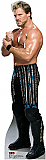 Chris Jericho - WWE Cardboard Cutout Standup Prop 