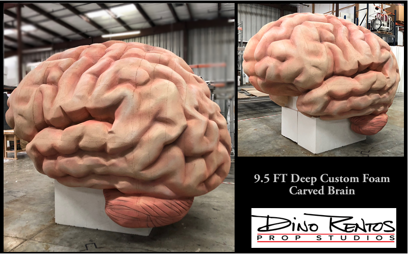 Human Brain Foam Prop Sculpture and Display for Tradeshows and Conventions