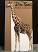 Giraffe Cardboard Cutout Standup Prop