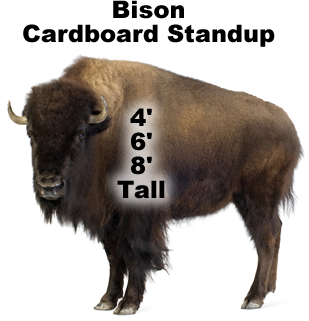 Bison Cardboard Cutout Standup Prop