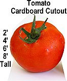 Tomato Cardboard Cutout Standup Prop